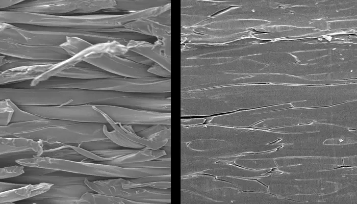 Fused silk fibers heat-pressed under different conditions