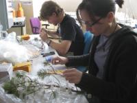 Measuring Branches