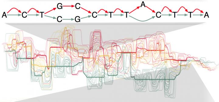 Human Genome Variation Map