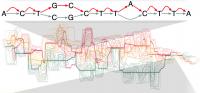 Human Genome Variation Map