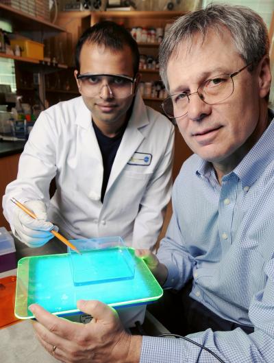 Shreyas Athavale and Loren Williams, Georgia Institute of Technology