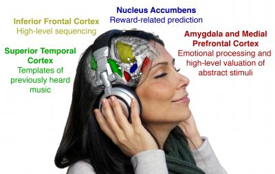 Listening to New Music Rewards the Brain (10 of 11)