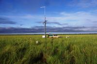 TERN's OzFlux station