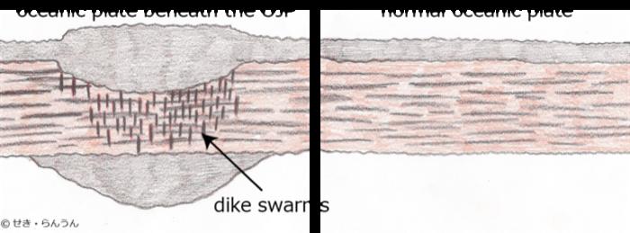Composite Structure of the Oceanic Plate Beneath the Ontong Java Plateau Revealed by Seismic Waves