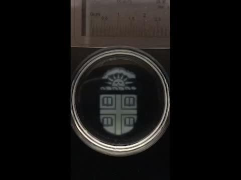 Temporary Structures