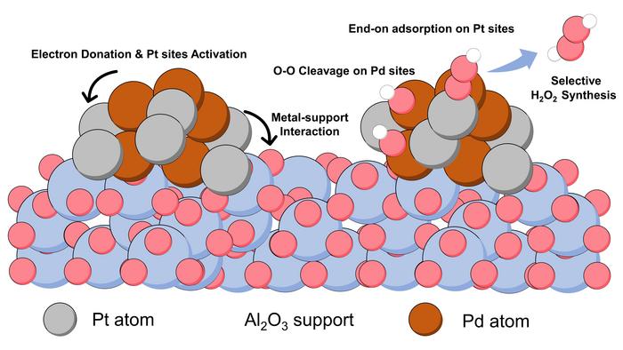 Reaction Mechanism of Selective H2O2 Synthesis on Al2O3-Supported Pt-Pd Binary Catalyst