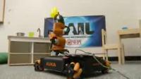 Robots for Everyday People