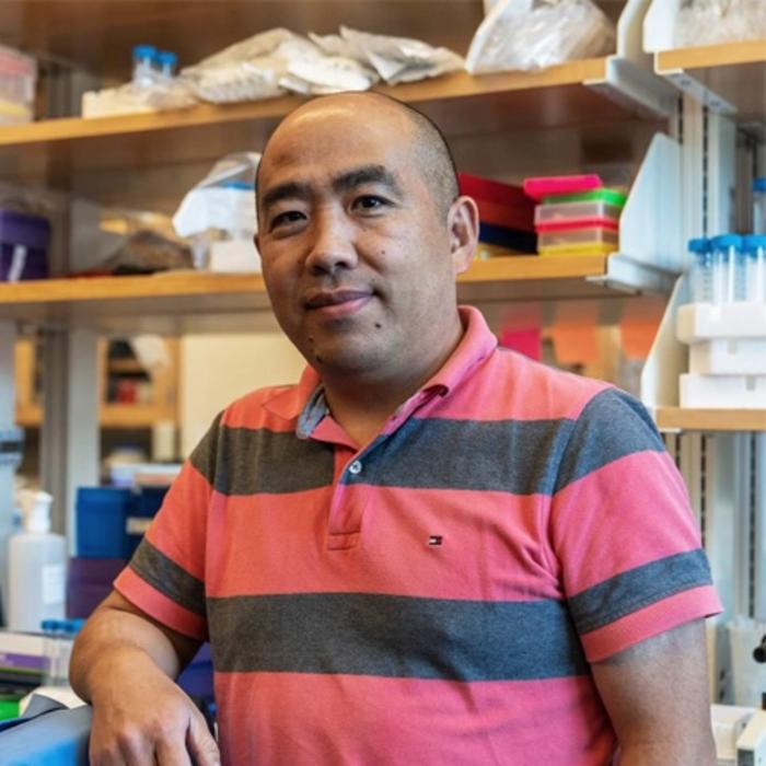 Severe COVID-19, flu facilitate lung cancer months or years later, new research shows