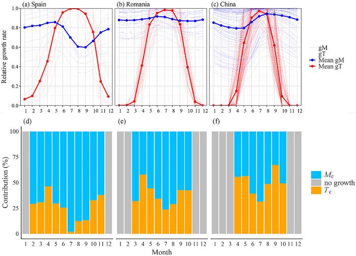 Simulated monthly partial responses and contribution to radial growth indices.