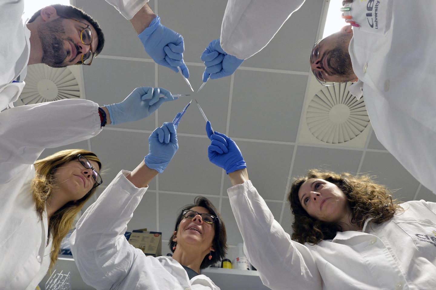 Research Team @Cibio