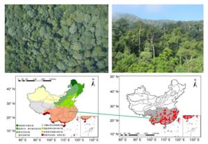 Typical forest landscapes of subtropical and tropical regions in china, and the distribution map of the forest plots used in this study.