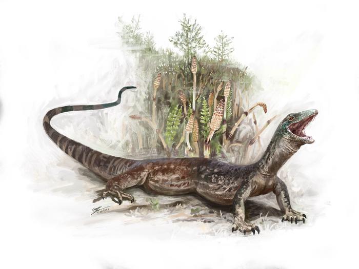 Breugnathair illustration