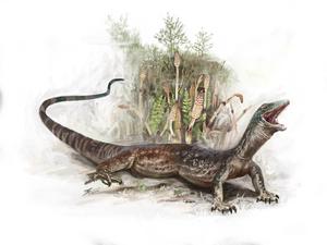 Breugnathair illustration