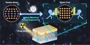 Lattice Anchoring Stabilizes α‑FAPbI3 Perovskite for High‑Performance X‑Ray Detectors