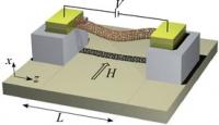 Carbon Nanotube