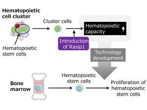 Figure 2. Significance of this study