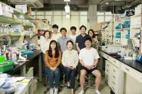 IBS Researchers