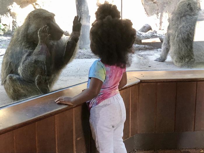 Interspecies Understanding