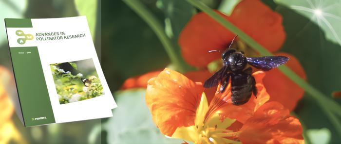 Cover mock-up of the Advances in Pollinator Reserach journal