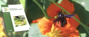 Cover mock-up of the Advances in Pollinator Reserach journal