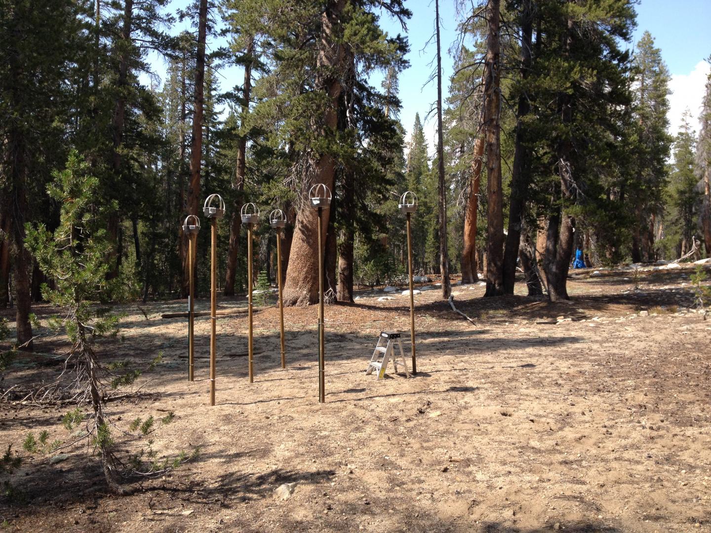 Dust Collectors on Poles