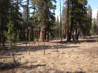 Dust Collectors on Poles