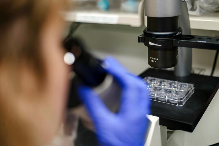 MSK Research