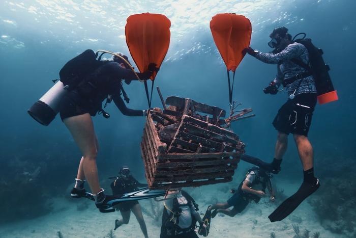 Lobster Ghost Trap Recovery