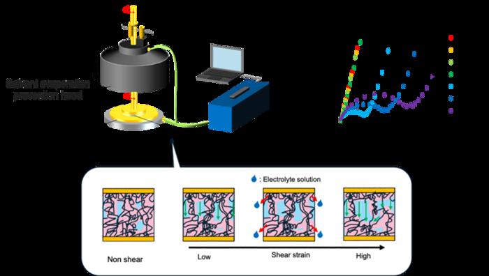Probing polymer gel networks with rheo-impedance