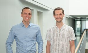 New insights into human memory