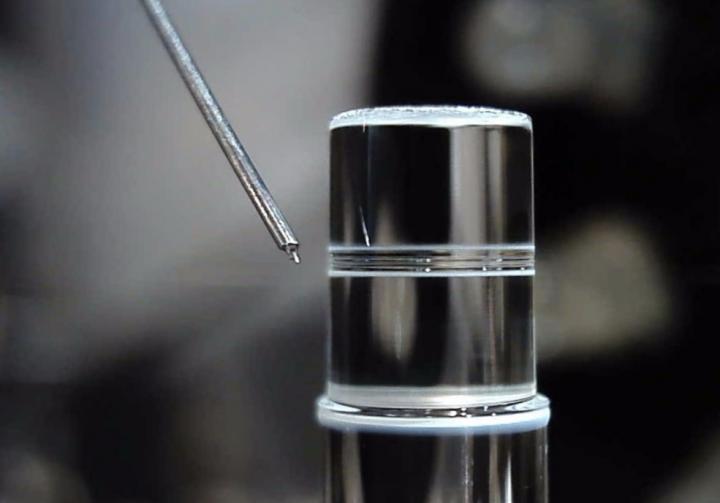 Experiment photo only