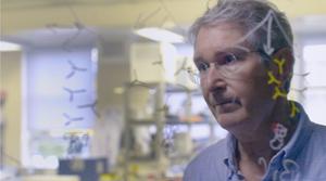 Professor Jonathan Heeney