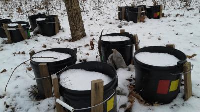 Winter Buckets