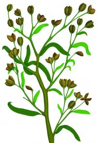 Reconstruction