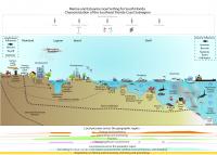 MARES Infographic