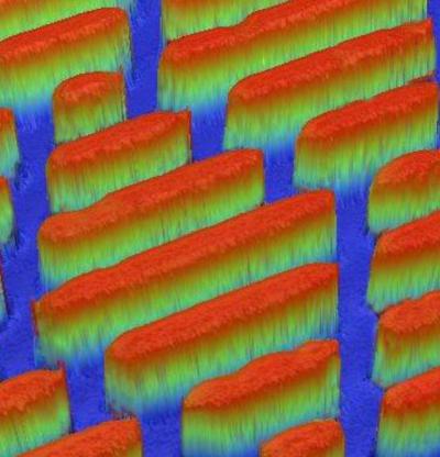 The Sharklet Micropattern