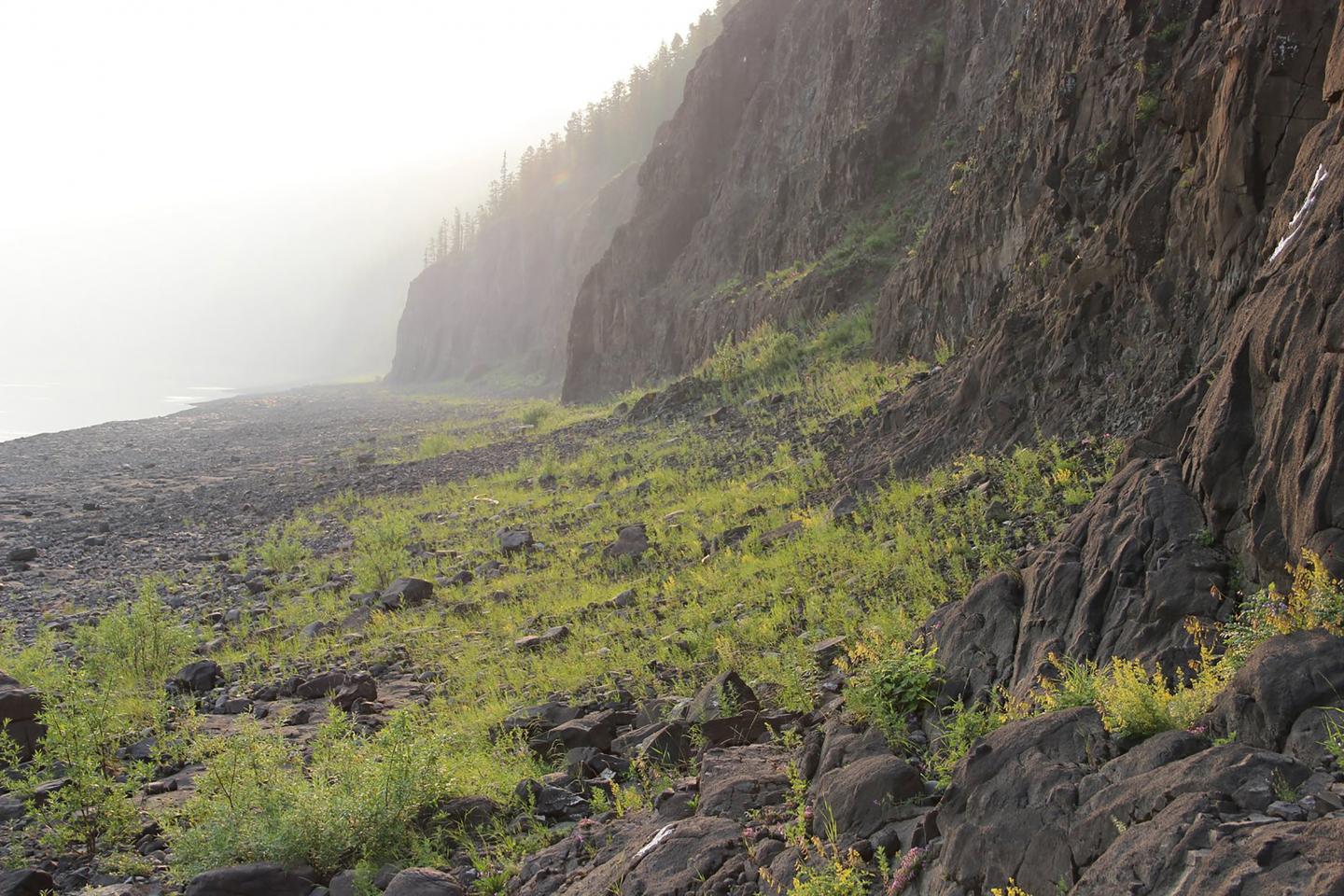 Rock Age Data Links Voluminous Magmatism to Mass Extinction Event (3 of 8)