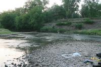 Freshwater