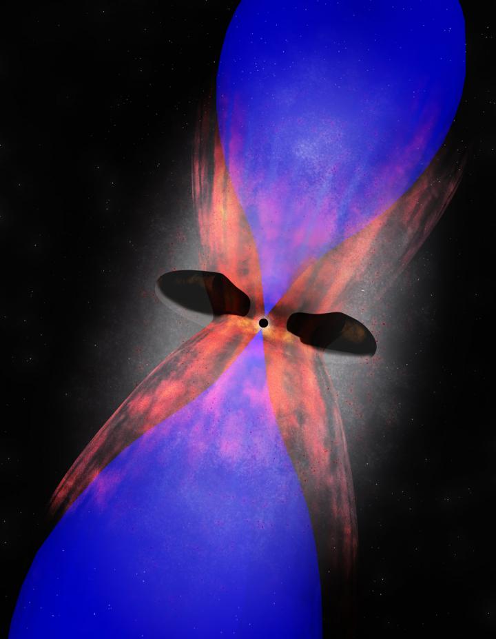 Artist Rendition Phoenix Cluster