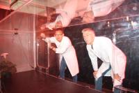 Behavioral Assay in the Wind Tunnel