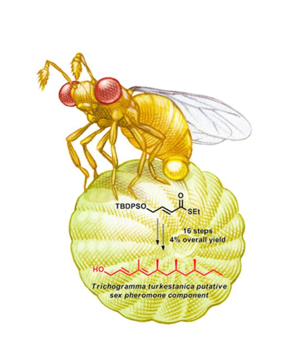 Illustration of Trichogramma turkestanica and its pheromone structure