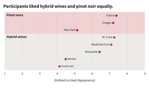 Participants liked hybrid wines and pinot noir equally