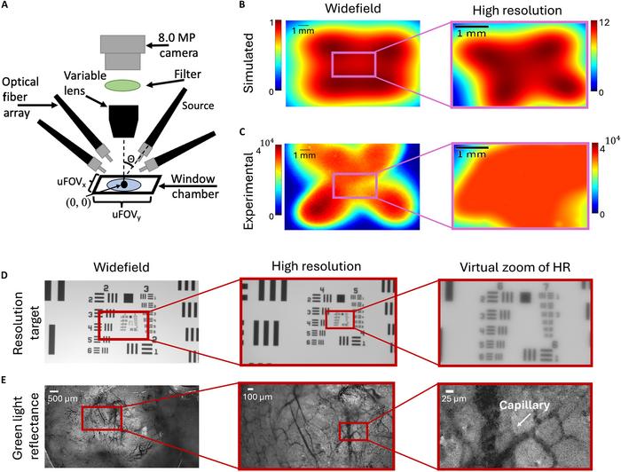 Configuration and validation of the multiscale CapCell microscope.