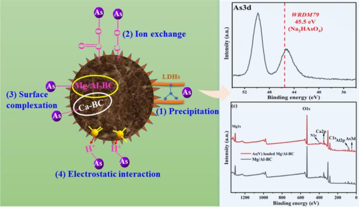 Ball milled Mg/Al hydroxides modified nitrogen-rich biochar for arsenic removal: performance and governing mechanism