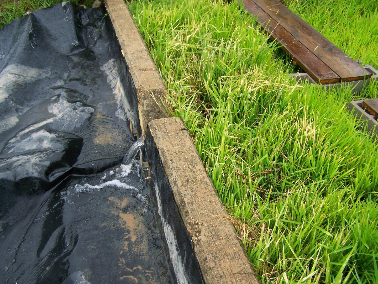 Catchment Basin