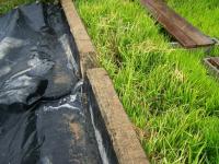 Catchment Basin