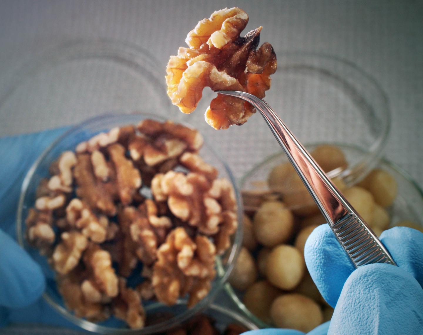 Walnuts