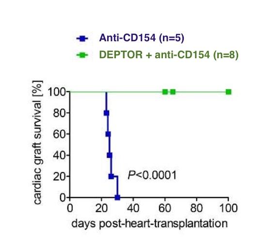 Prolonging Transplant Survival by Turning on DEPTOR