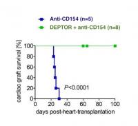 Prolonging Transplant Survival by Turning on DEPTOR