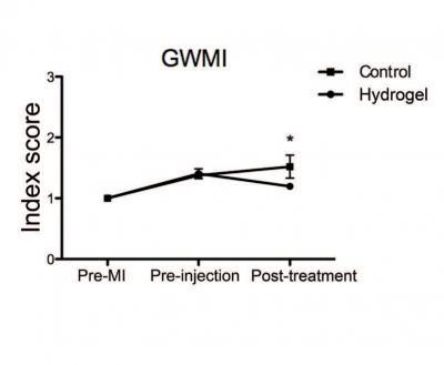 Injectable Hydrogel Repairs Heart (2 of 4)